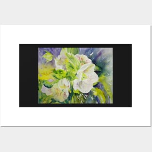 Lenten Rose Posters and Art